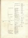 RALLIS OF SCIO 1896 24